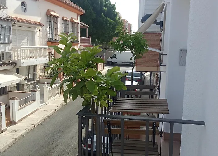 Oasis En La Ciudad